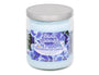 Pet Odor Exterminator Deodorizing Candle Jar, Blue Serenity, 13-oz