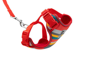 RC Pets Adventure Kitty Cat Harness, Multi Stripes