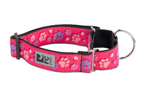 RC Pets All Webbing Training Dog Collar, Fresh Tracks Pink