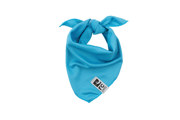 RC Pets Zephyr Cooling Bandana for Dogs, Aqua