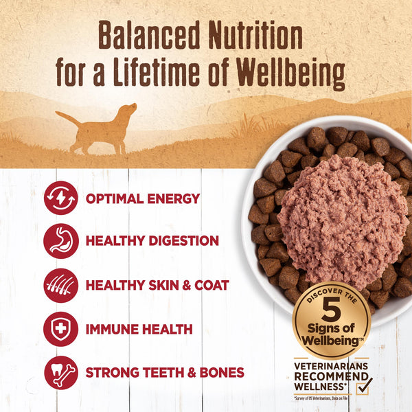 Wellness 95% bœuf Nourriture humide sans céréales pour chiens en conserve
