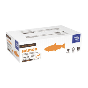Healthy Paws Big Box Dinners Salmon & Veg Raw Frozen Dog Food