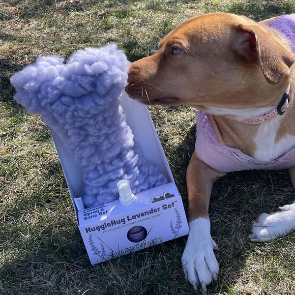 HuggleHounds Coffret HuggleHug os à la lavande & spray apaisant pour chiens