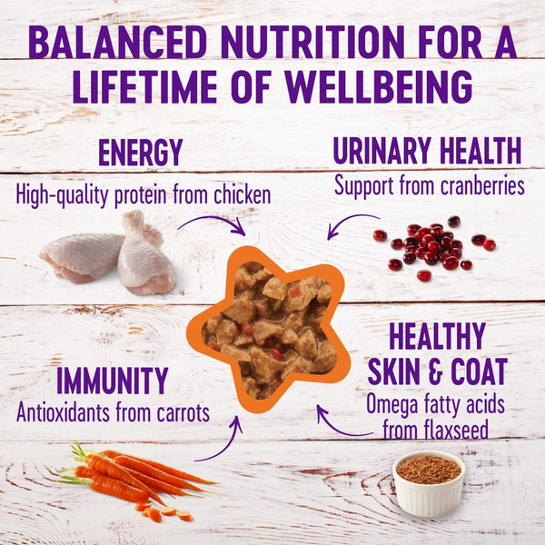 Wellness Complete Health Grain-Free Minced Chicken Dinner Wet Cat Food Cans