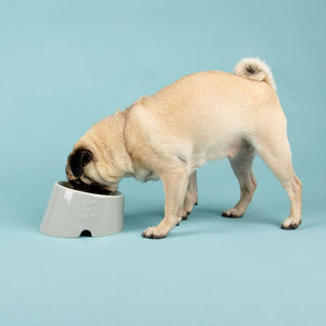 Scruffs Icon Flat Faced Dog Bowl, Light Grey