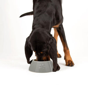 Scruffs Icon Long Eared Dog Food & Water Bowl, Light Grey