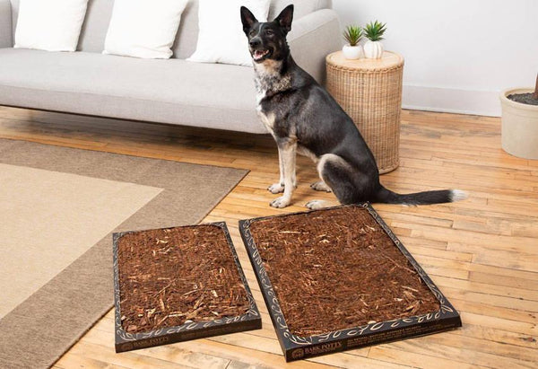 Bark Potty Coussinets de propreté jetables entièrement naturels pour chiens, grand