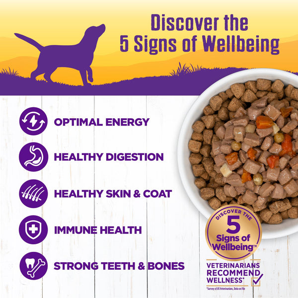 Wellness Complete Health Beef Stew Grain-Free Wet Dog Food Can