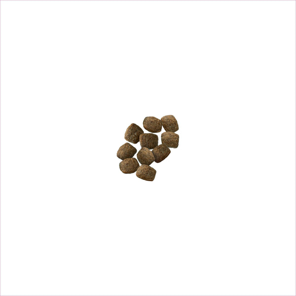 Purina Pro Plan Croquettes pour chiens 7+ Peau sensible & estomac sensible Saumon & Riz
