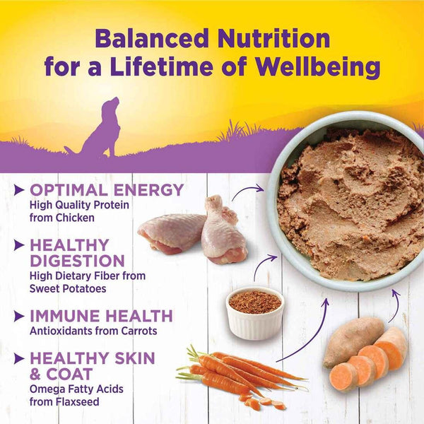 Wellness Complete Health Age Advantage Adult 7+ Chicken & Sweet Potato Wet Dog Food Can