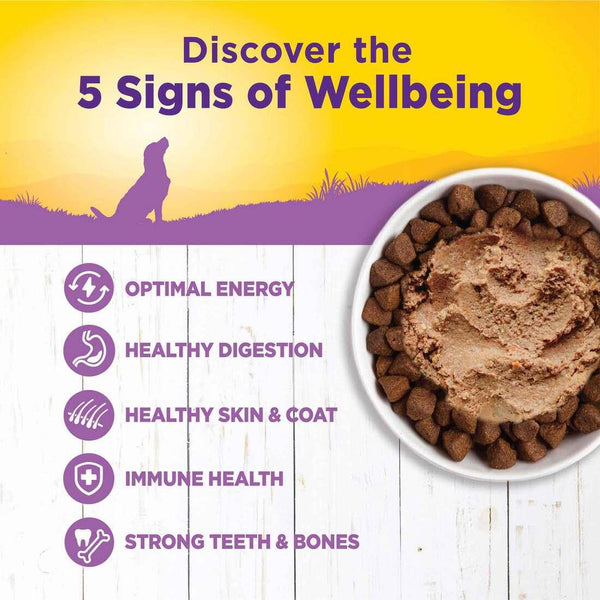 Wellness Complete Health Age Advantage Adult 7+ Chicken & Sweet Potato Wet Dog Food Can
