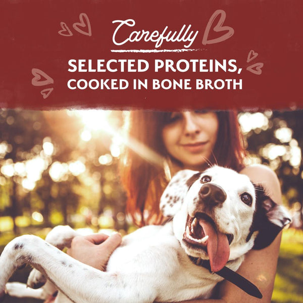 Natural Balance Limited Ingredient Beef Stew Wet Dog Food