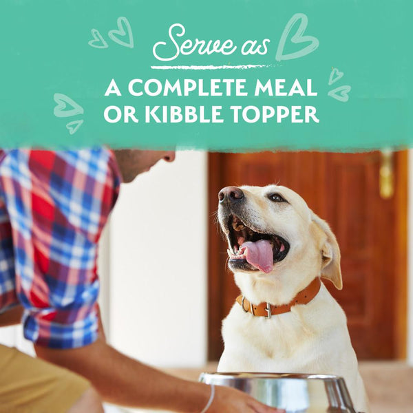 Natural Balance Limited Ingredient Chicken Stew Wet Dog Food