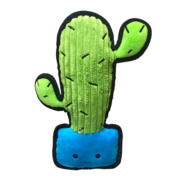 Smart Pet Love Tender-Tuffs Easy Grab Happy Cactus Dog Toy