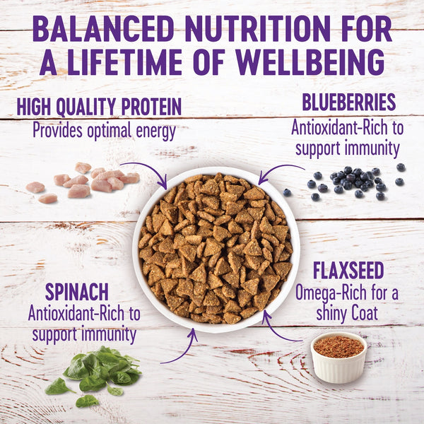 Wellness Complete Health Small Breed Senior Turkey & Peas Dry Dog Food, 4-lb