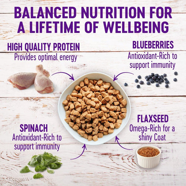Wellness Complete Health Deboned Chicken & Chicken Meal Adult Grain-Free Dry Dog Food