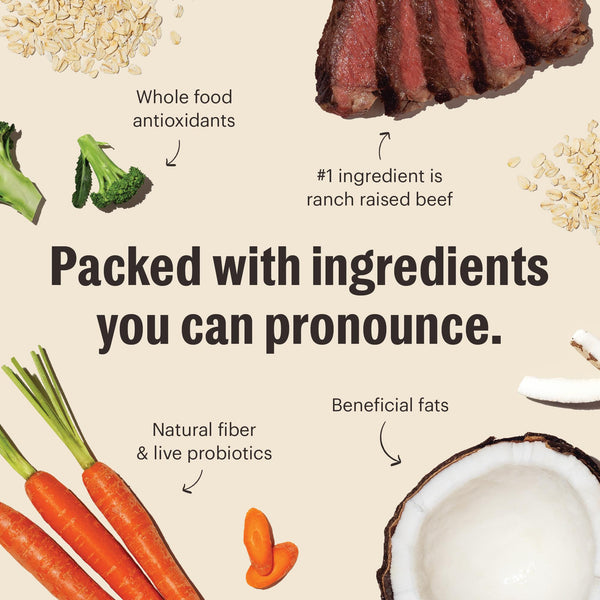 The Honest Kitchen Whole Food Clusters Beef & Oat Whole Grain Dry Dog Food