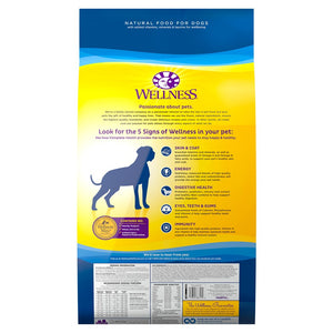 Wellness Complete Health Large Breed Puppy Chicken, Brown Rice & Salmon Dry Dog Food