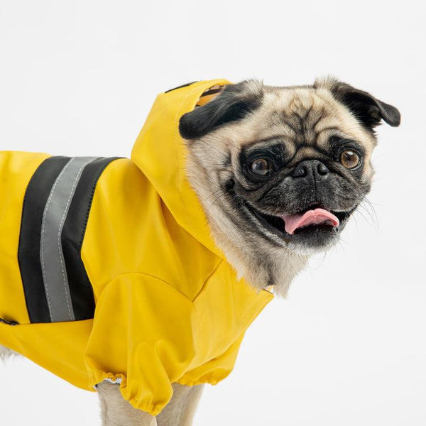 Silver Paw Manteau de pluie Aden pour chien, jaune