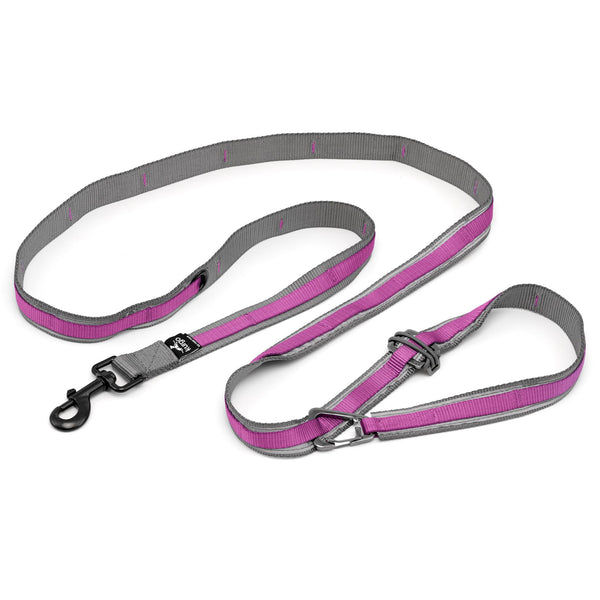 Kurgo Quantum Laisse 2.0 pour chiens, Violet