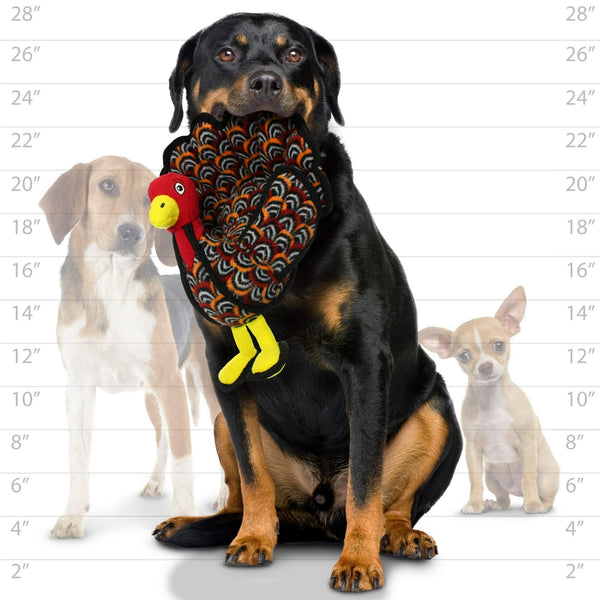 Tuffy Jouet pour chien Dinde Barnyard