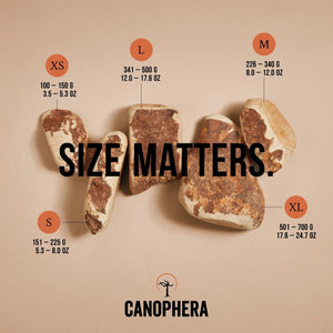 Canophera Briar Root Dog Treats
