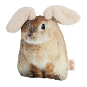 Original Territory Floppy Rabbit Dog Toy