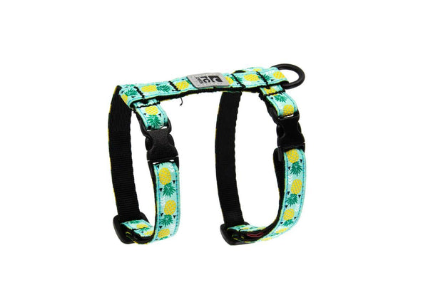 RC Pets Harnais Kitty 2.0 pour chats, Pineapple Parade