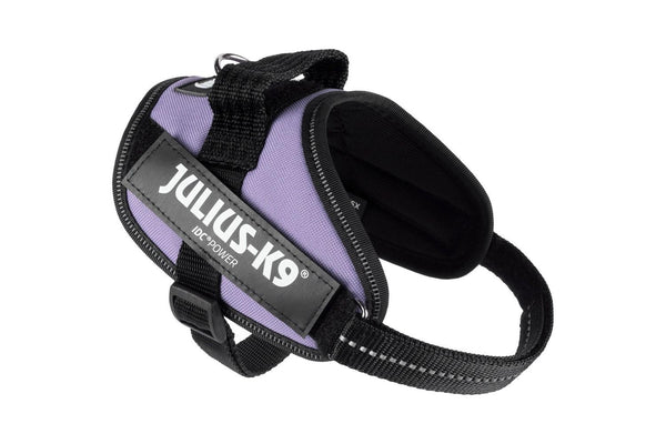 Julius-K9 IDC Powerharness Dog Harness, Purple