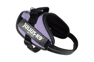 Julius-K9 IDC Powerharness Dog Harness, Purple
