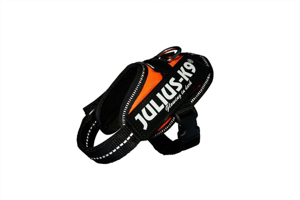 Julius-K9 IDC Powerharness Dog Harness, UV Orange