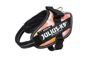 Julius-K9 IDC Powerharness Dog Harness, Pink with Flowers