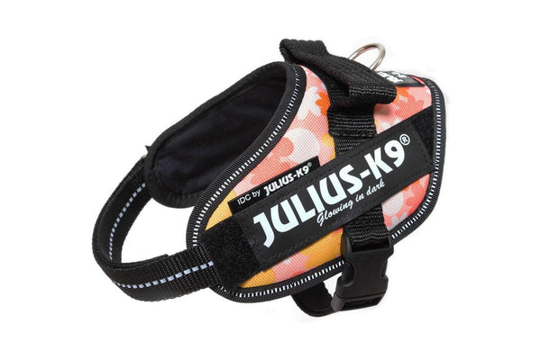Julius-K9 IDC Powerharness Dog Harness, Pink with Flowers