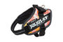 Julius-K9 IDC Powerharness Dog Harness, Pink with Flowers