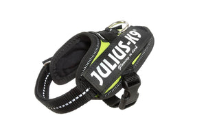 Julius-K9 IDC Powerharness Dog Harness, UV Neon Green