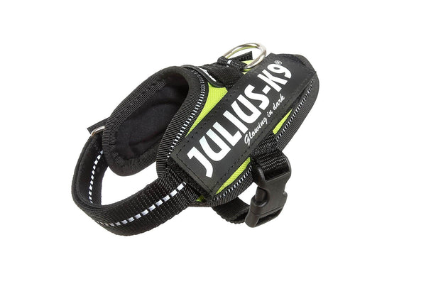 Julius-K9 IDC Powerharness Dog Harness, UV Neon Green