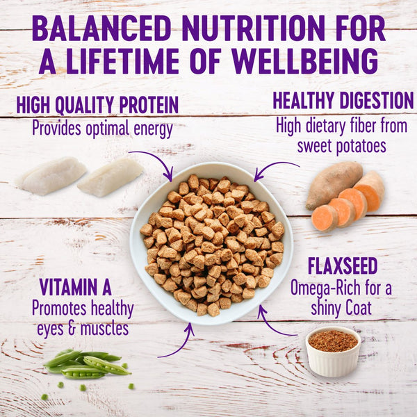 Wellness Complete Health Whitefish & Sweet Potato Adult Dry Dog Food