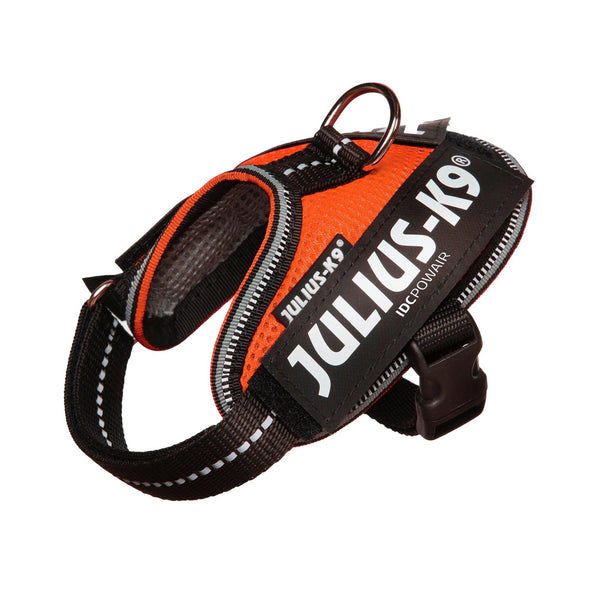 Julius-K9 IDC Powair Dog Harness, Orange