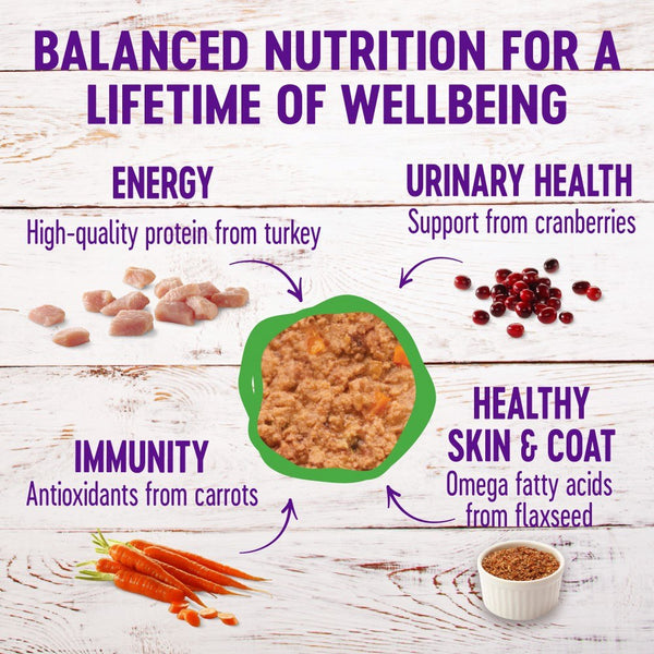 Wellness Complete Health Pate Turkey Formula Grain-Free Wet Cat Food Cans