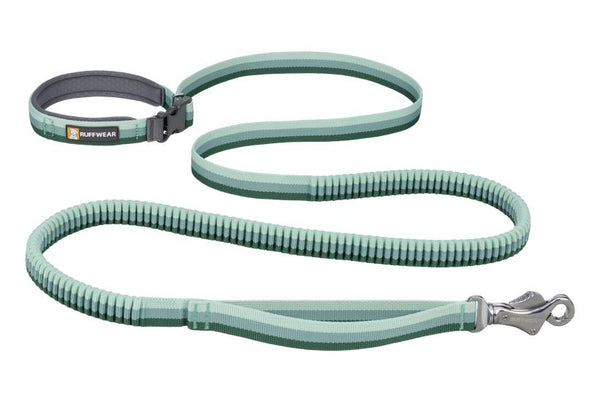 Ruffwear Roamer Bungee Dog Leash, River Rock Green