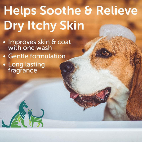 Nootie Cucumber Melon Soothing Dog & Cat Shampoo