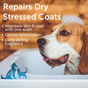 Nootie Sweet Pea & Vanilla Nourishing Dog & Cat Shampoo