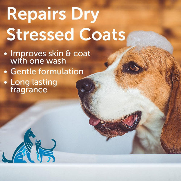Nootie Sweet Pea & Vanilla Nourishing Dog & Cat Shampoo