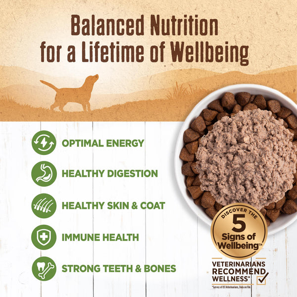 Wellness 95% Lamb Grain-Free Wet Dog Food Can