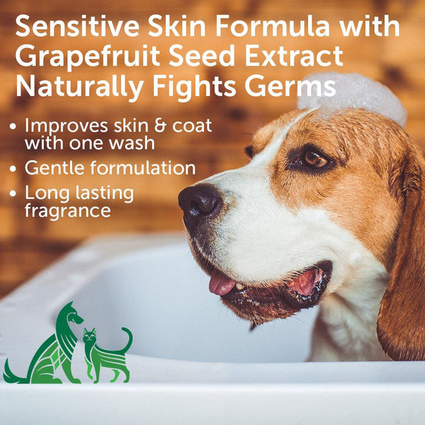 Nootie Coconut Lime Verbena Hypoallergenic Dog & Cat Shampoo