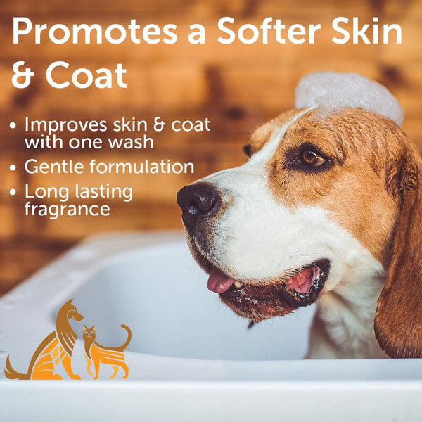 Nootie Warm Vanilla Cookie Moisturizing Dog & Cat Shampoo