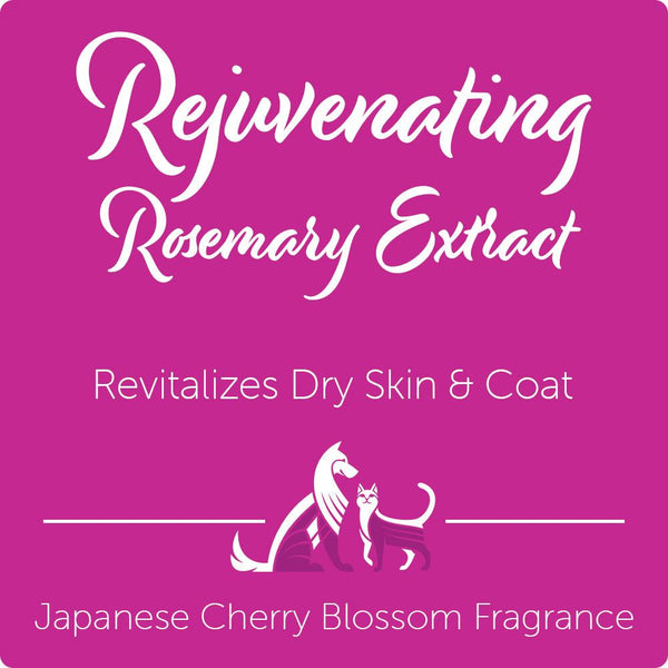 Nootie Japanese Cherry Blossom Rejuvenating Dog & Cat Shampoo