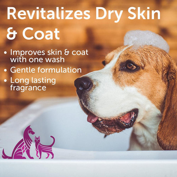 Nootie Japanese Cherry Blossom Rejuvenating Dog & Cat Shampoo