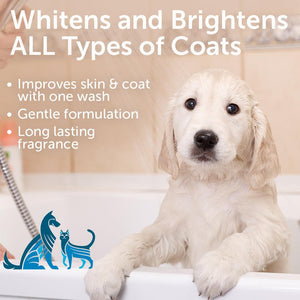 Nootie Sweet Pea & Vanilla Whitening Dog & Cat Shampoo