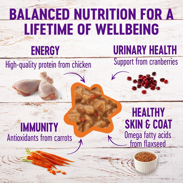 Wellness Complete Health Grain-Free Gravies Chicken Dinner Wet Cat Food Cans